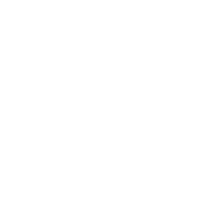 icon phone
